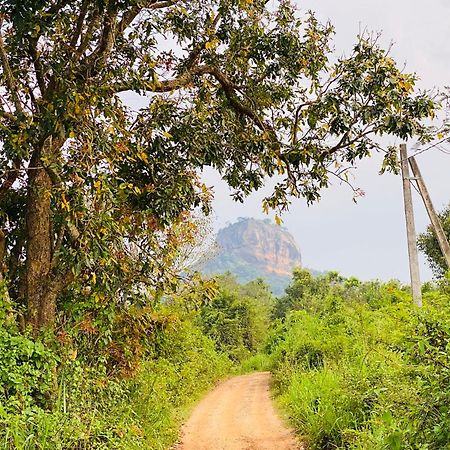 Hotel Sigiriya Kele Exterior foto