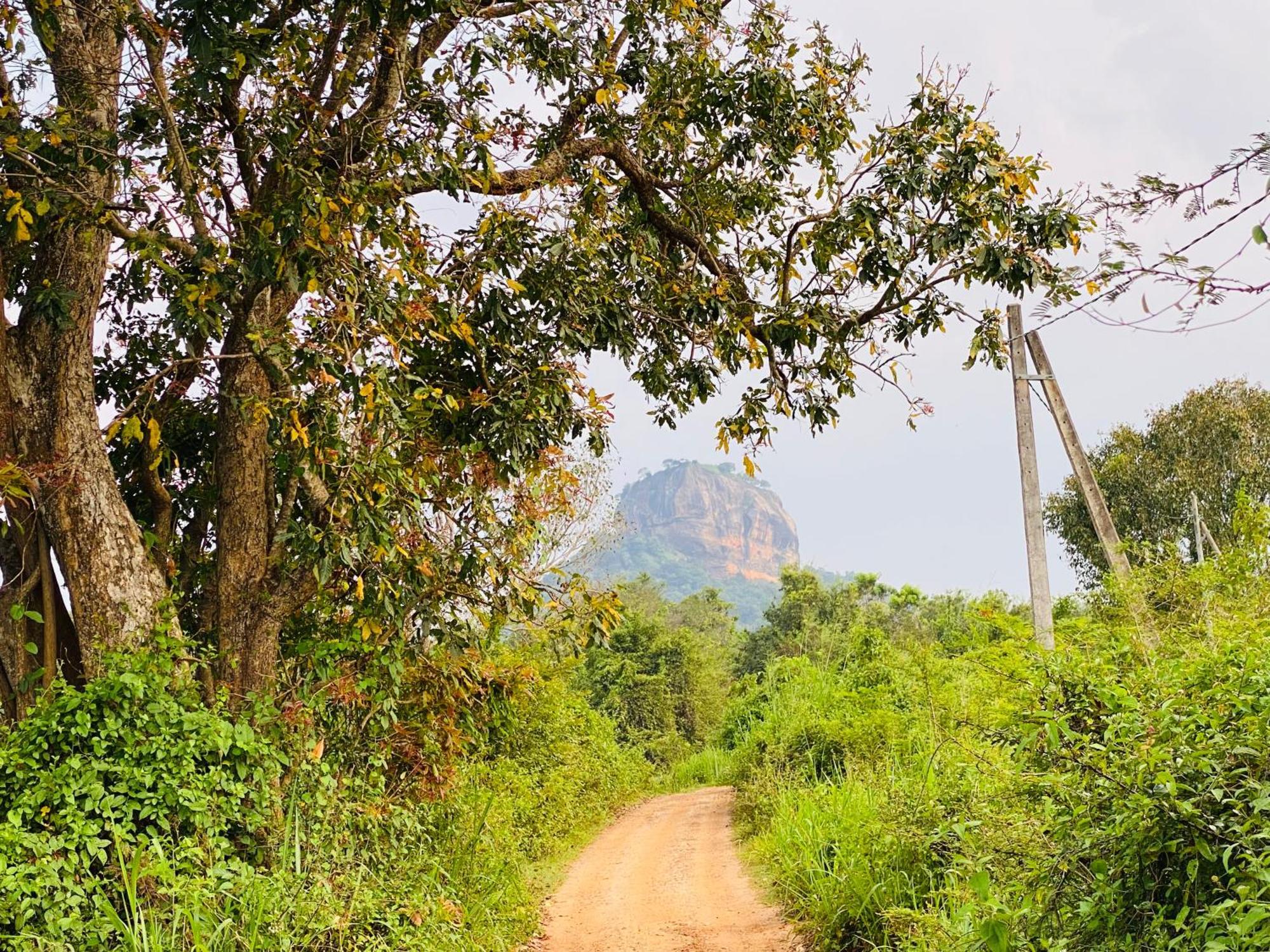 Hotel Sigiriya Kele Exterior foto